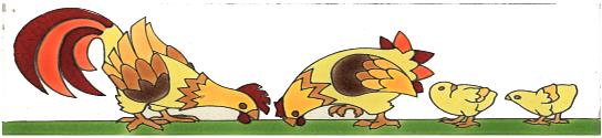 214-4003 Gallinero